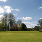 picture of a field with trees