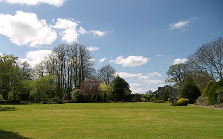 picture of a field with trees