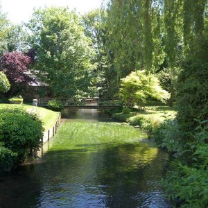 Scenic bridge over a lake surrounded by grass and trees